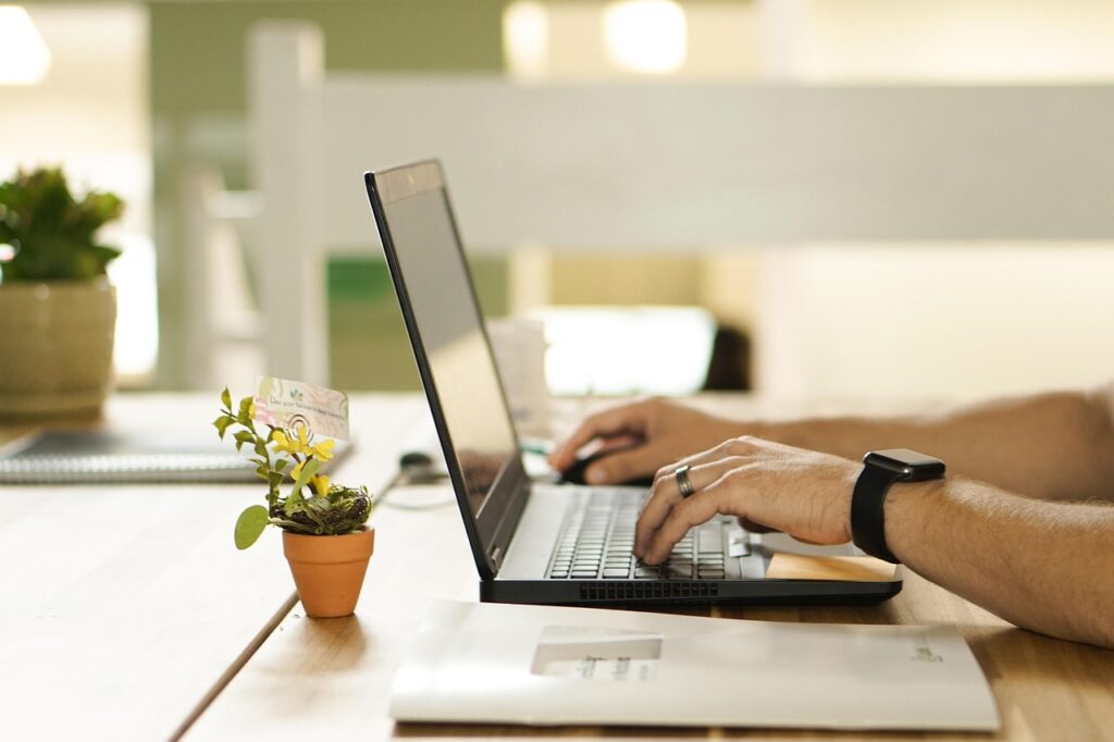 online, connection, laptop, plant, workstation, pot, work, table, nature, workspace, technology